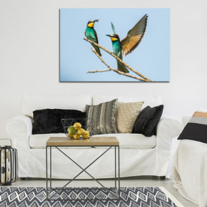 Tableaux photos - Nature