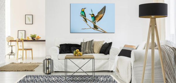 Tableaux photos - Nature